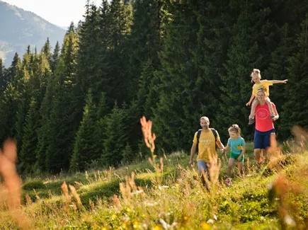 Entdecken Sie das Glemmtal und Saalbach!